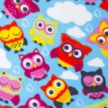 koc pikniowy owl 2.jpg