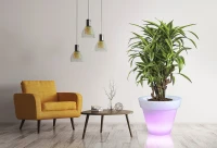 Donica  LED color Grande 75 cm I RGB + pilot