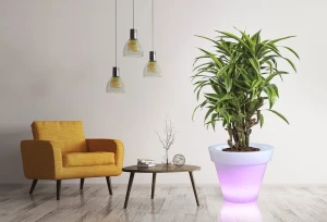 Donica  LED color Grande 75 cm I RGB + pilot