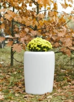Donica Tracino