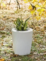 Donica Anakena