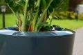 flowerpot-KAMA-Garafia.jpg