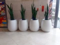 flowerpots-KAMA-Silba-L.jpg