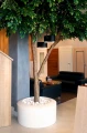 flowerpot-KAMA-Olib-white.jpg