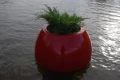 Magic_Island_5.jpg
