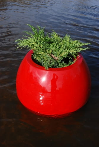 Magic_Island_2.jpg