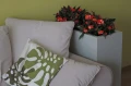 donica-KAMA-pure-Wall.JPG