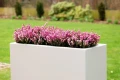flowerpot-KAMA-pure.JPG