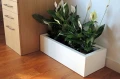 flowerpot-KAMA-Wall20.JPG
