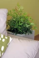pot-KAMA-pure.JPG