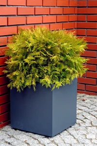 Donica 40x40x(40/60)