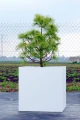 garden-flowerpots-80x80x80-KAMA.JPG