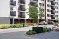 big-pots-KAMA-concrete-100x100x80.JPG