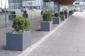 KAMA-flowerpots.JPG