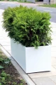 garden-flowerpots-KAMA.JPG