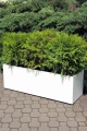 garden-pot-KAMA-concrete.JPG
