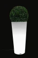Habana light 5.jpg