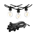 Festoon2.jpg
