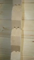DSC06570.JPG