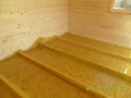 SAM_0620.JPG
