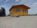 DSC00353.JPG