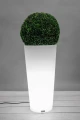Habana light 8.jpg