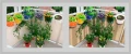 Rattan_mata_balkon-6.jpg